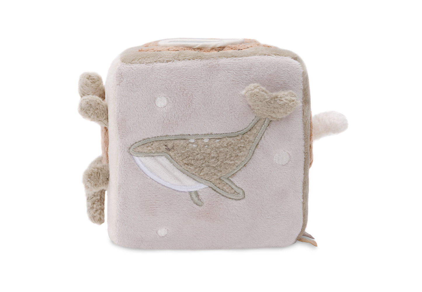 Cube d'activités | Deepsea