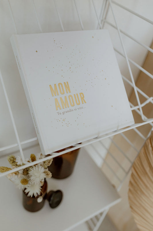 Livre Céleste tome 2 | Neige