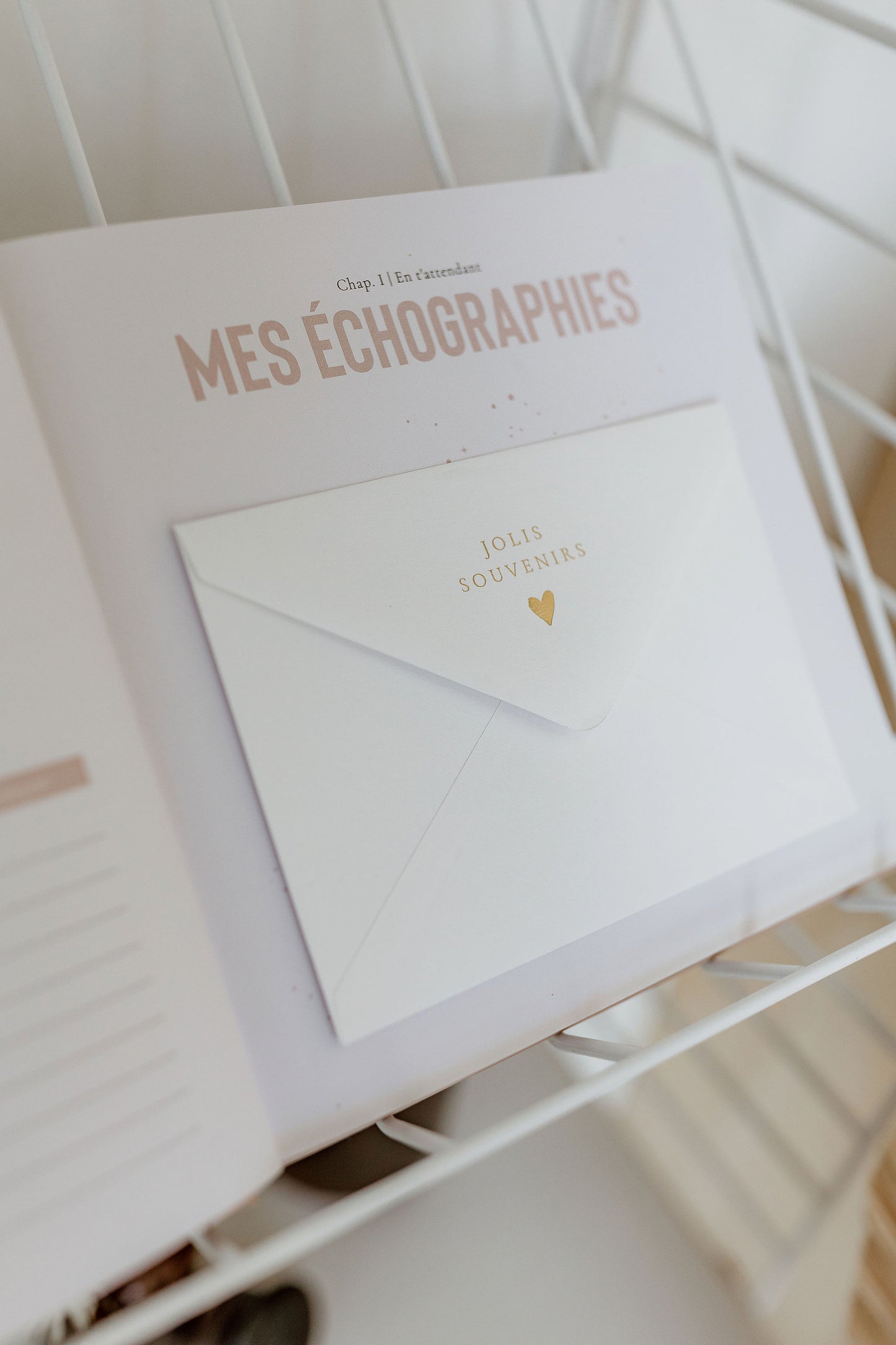 Livre de naissance Céleste | Minéral