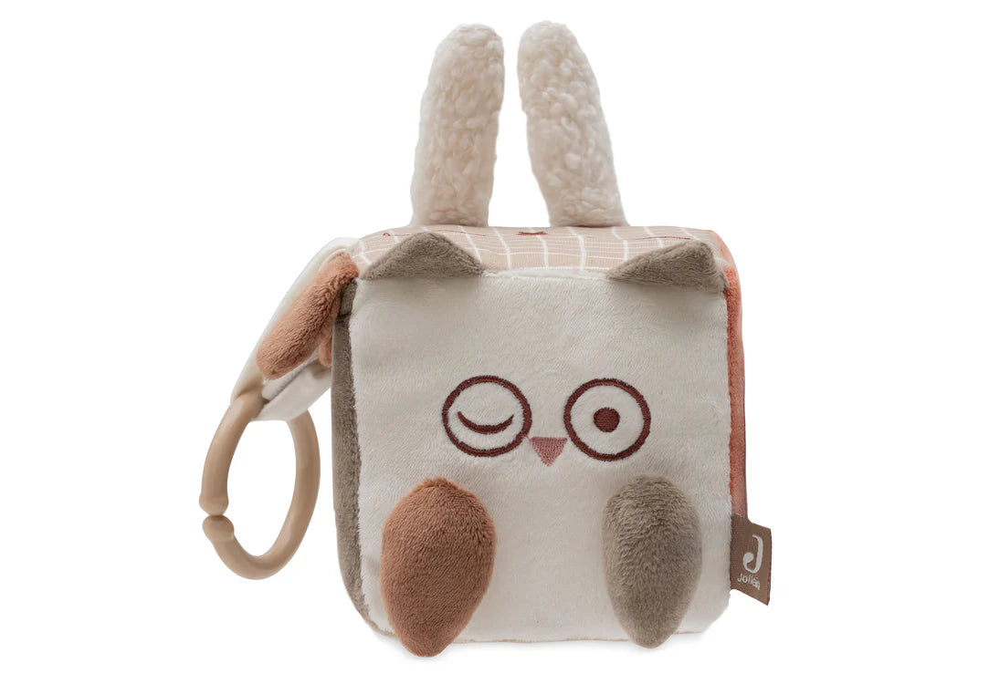 Cube d'activités | Animal Friends