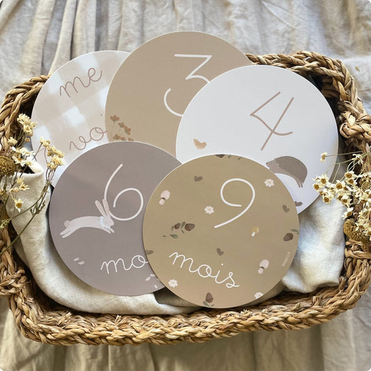 Carte étapes "Ma première année" | Brindilles