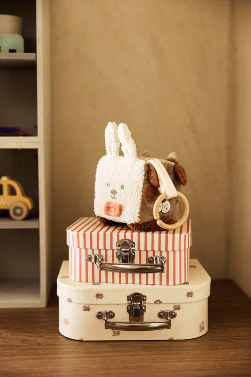 Cube d'activités | Animal Friends