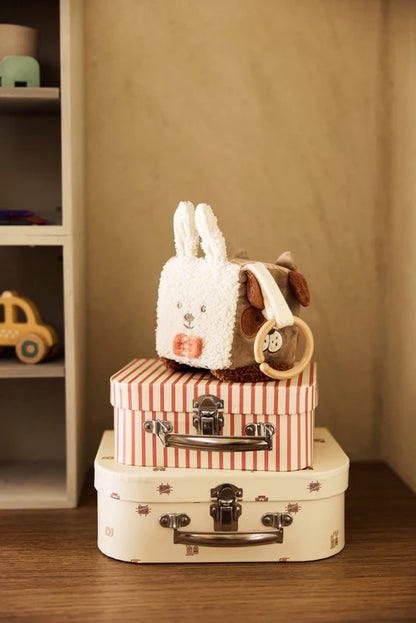 Cube d'activités | Animal Friends