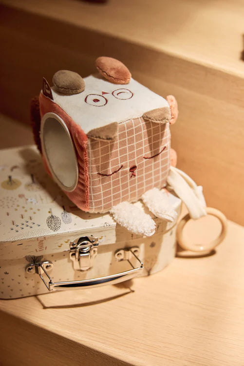 Cube d'activités | Animal Friends